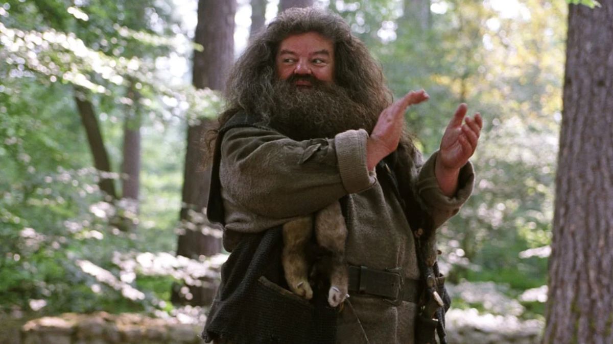 Robbie Coltrane as Rubeus Hagrid