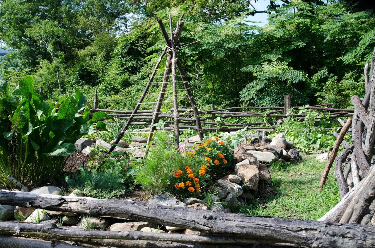 Teepee In A Garden