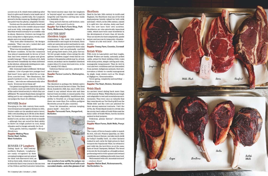 Magazine spread from Country Life 1 October 2025