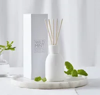 best reed diffusers: all white pottery-inspired bottle