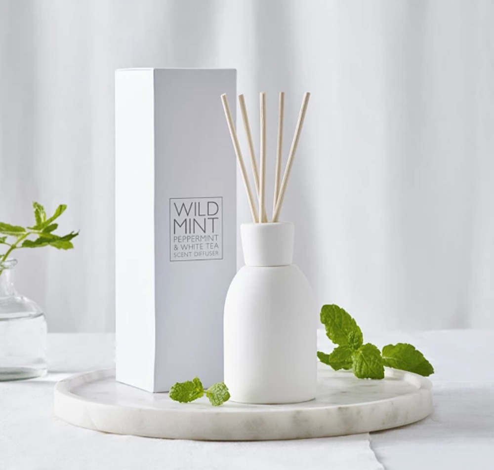 best reed diffusers: all white pottery-inspired bottle