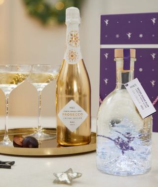 Spiced Sugar Plum Light Up Snow Globe Gin Liqueur & Prosecco Gift Box