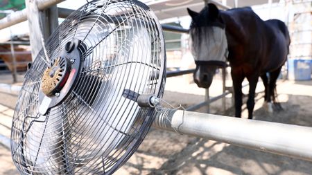 A close up of a circular metal fan tied to a fence post with a horse wearing eye blinders in the background.