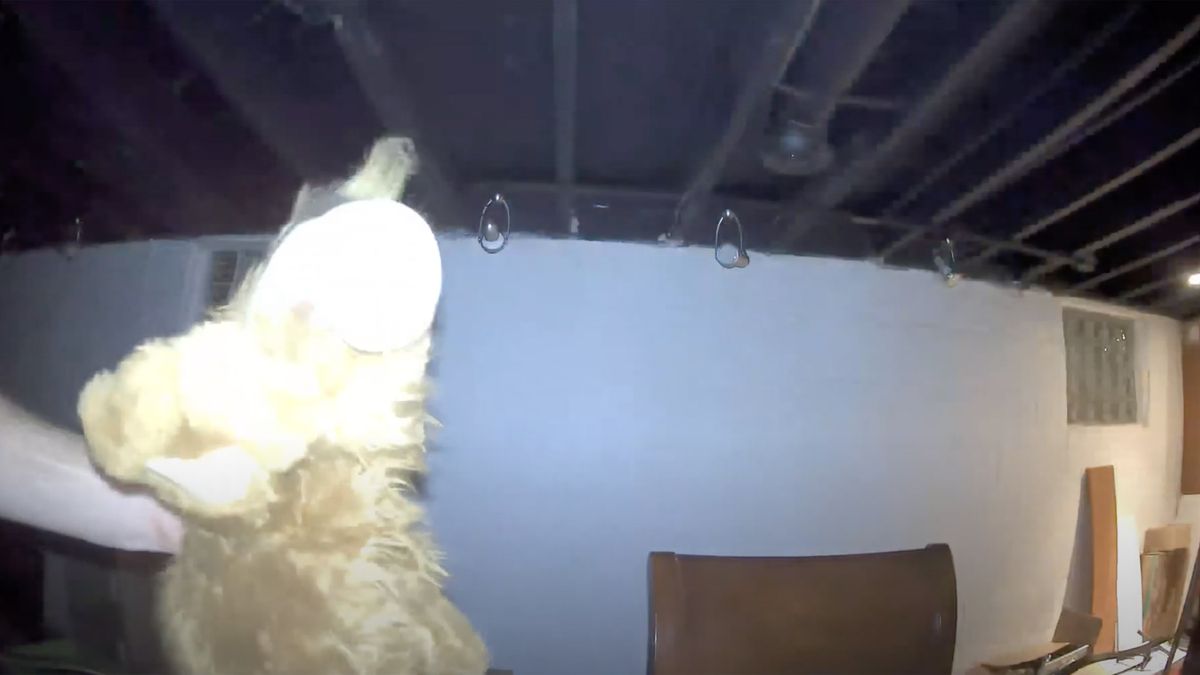 Arlo Pro 4 video in night mode