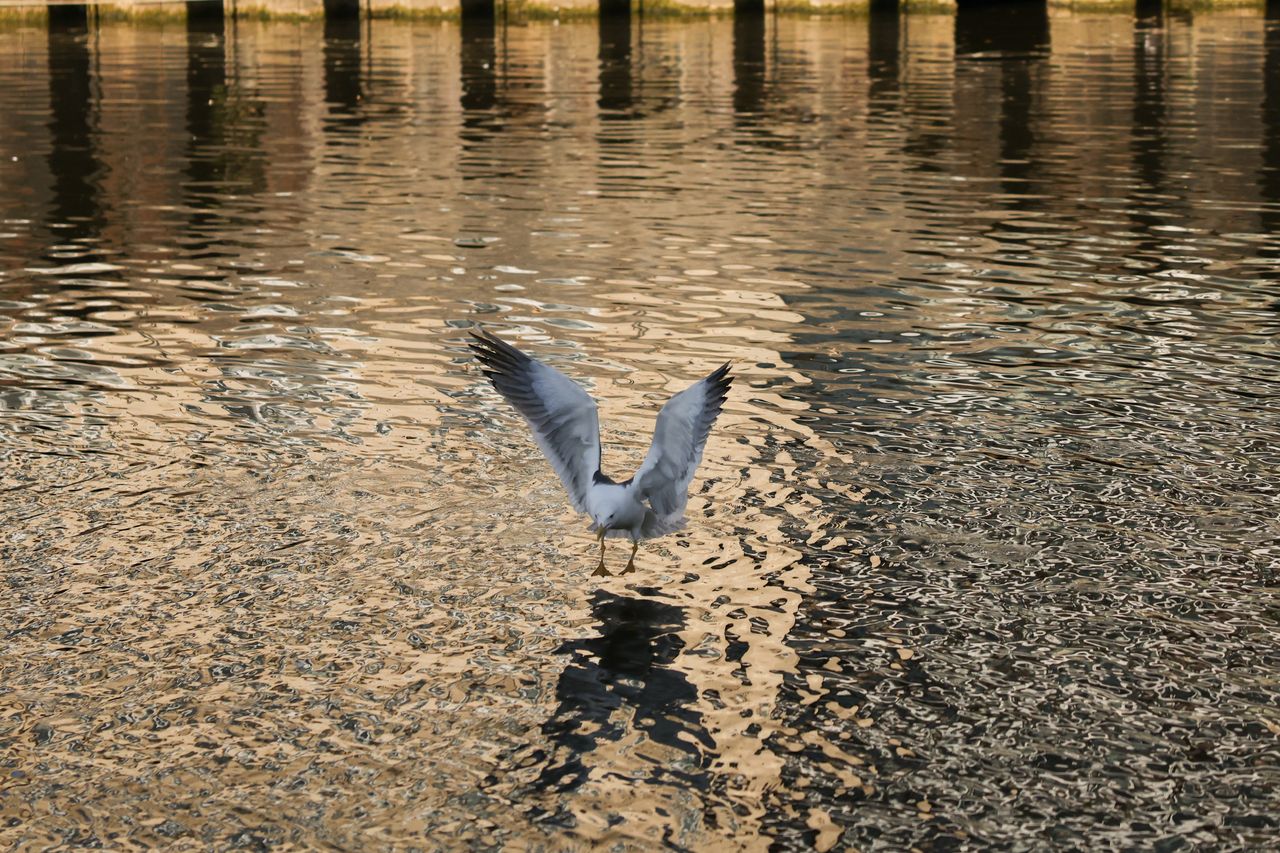 A photo taken on a Canon EOS R5 Mark II