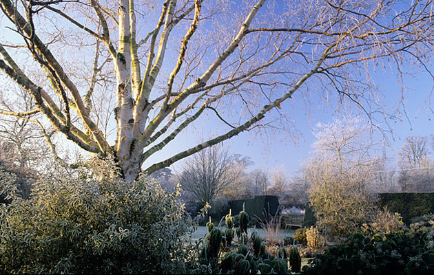 country life gardening