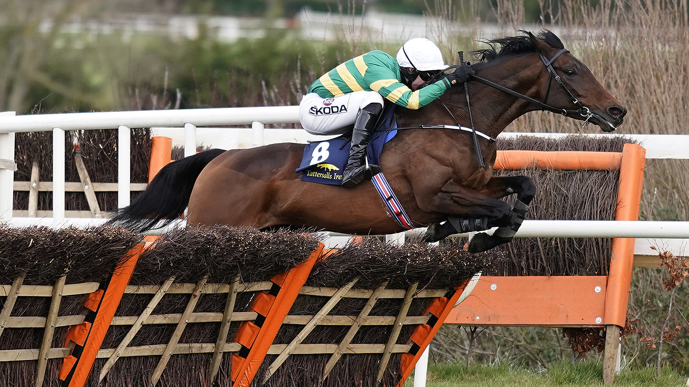 Leopardstown Races