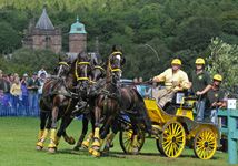 George_Bowman_at_Holker_2010_-_2.jpg