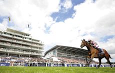 epsom-1.jpg