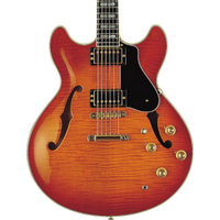Yamaha SA2200Sycamore/maple body | Mahogany neck | Ebony fingerboard | 22-frets | HH