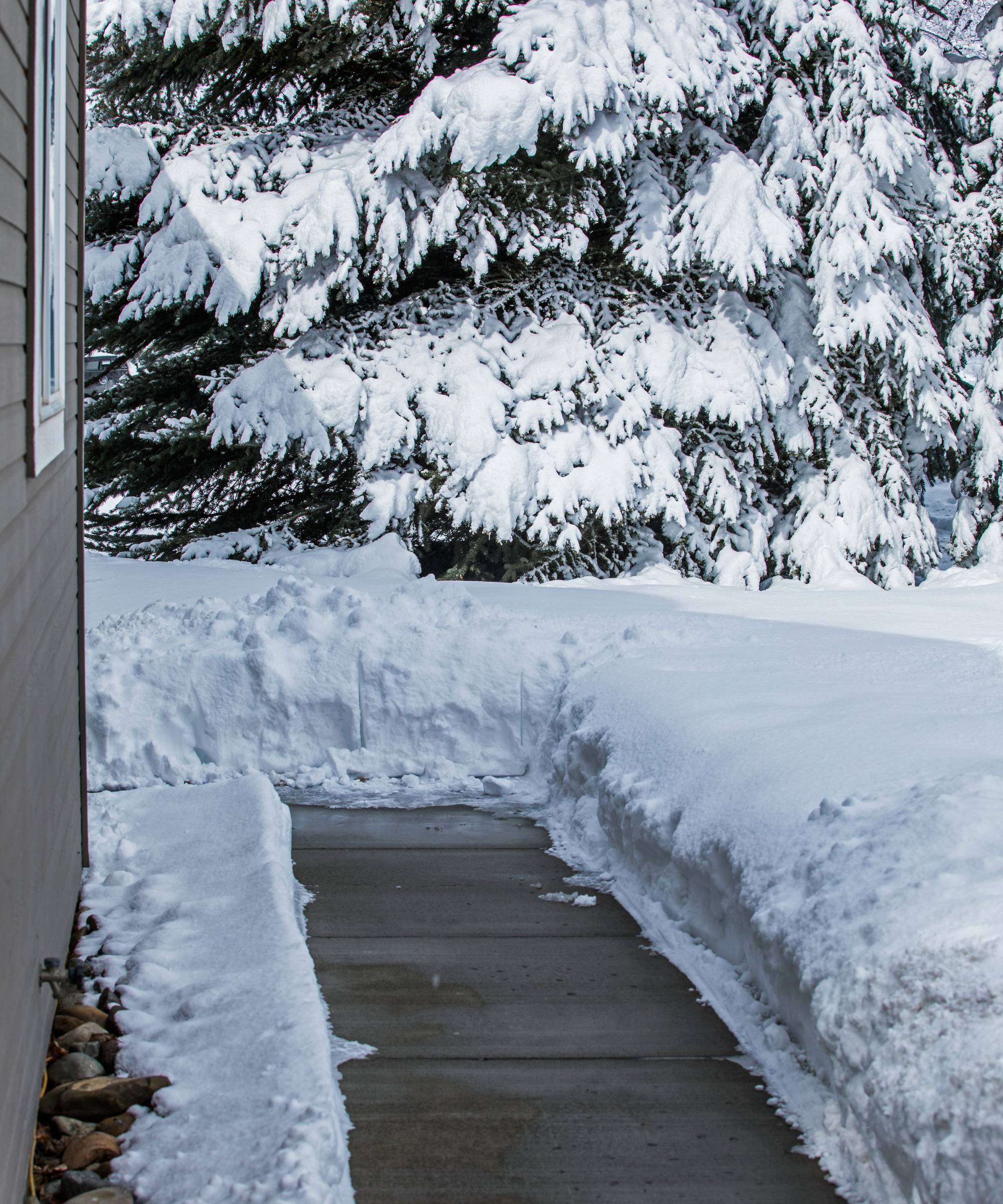 Snow surrounding a cleared sidewalk