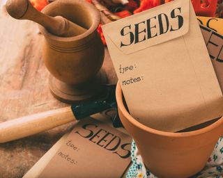 brown envelope seed packets and plant pots
