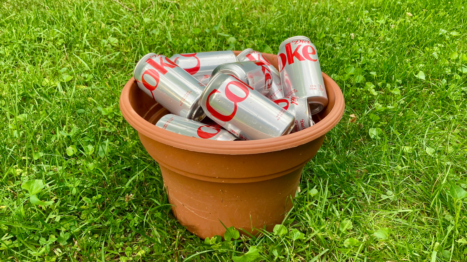 Diet Coke cans in a plant pot
