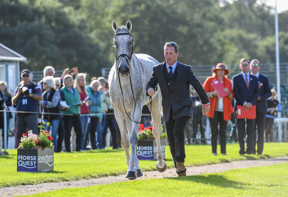 Oliver Townend_BALLAGHMOR CLASS_LRBHT_PN19_102517