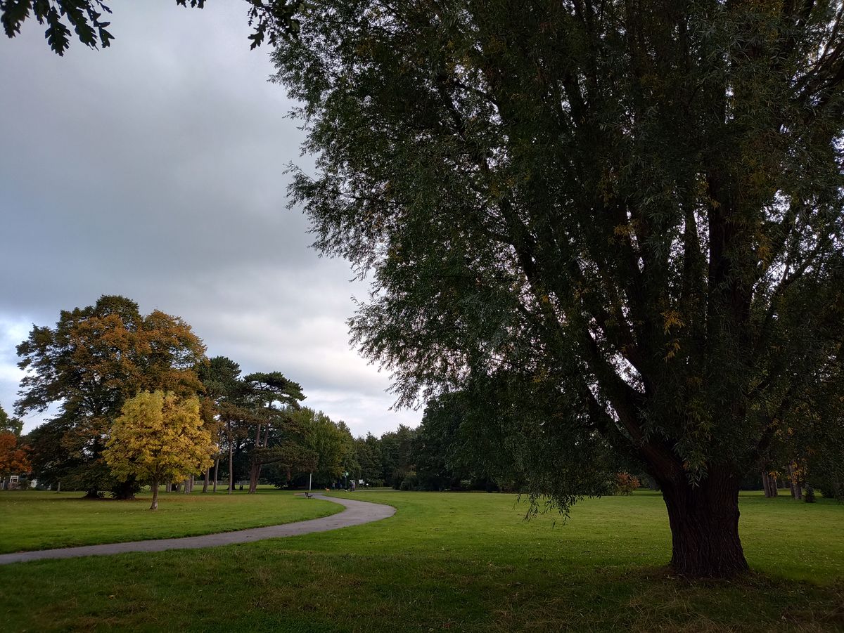 A Moto G60S camera sample
