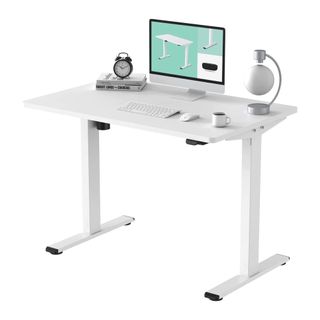 Flexispot Electric Standing Desk