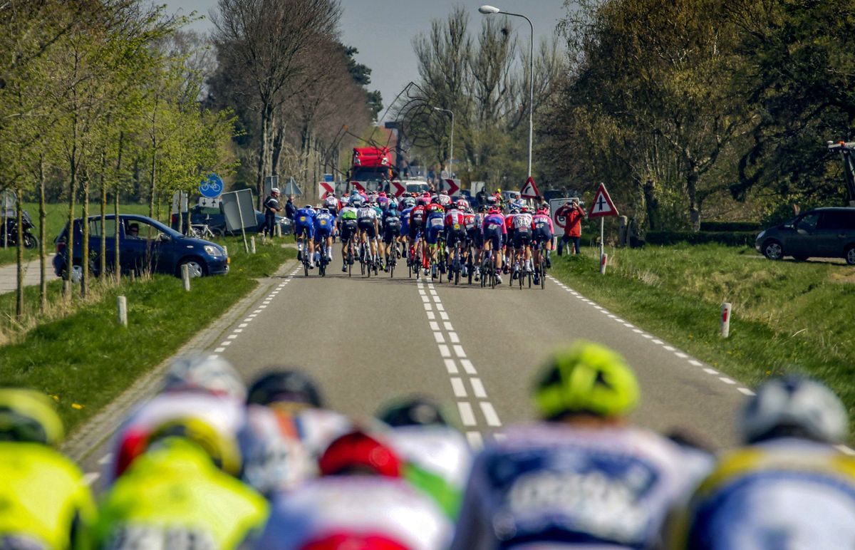 Echelons splinter the peloton in Scheldeprijs