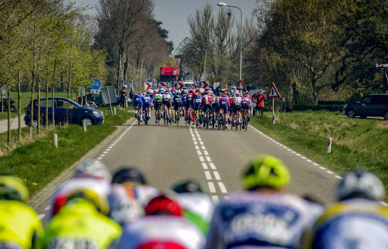 Echelons splinter the peloton in Scheldeprijs