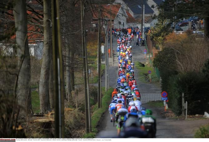 The peloton at the 2014 Kuurne-Brussel-Kuurne