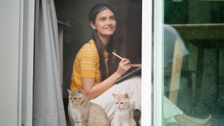 Woman working from home with her two British shorthair cats