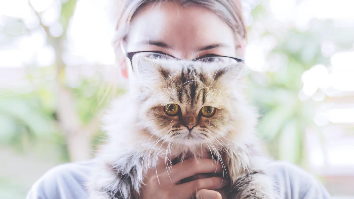 Woman holding persian cat in front of her