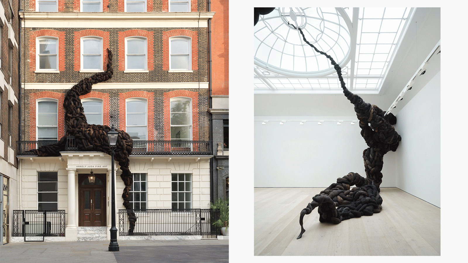 nicola turner's horsehair sculptures on the walls