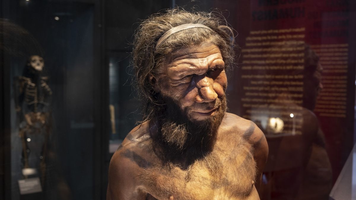 The mystery of the disappearing Neanderthal Y chromosome