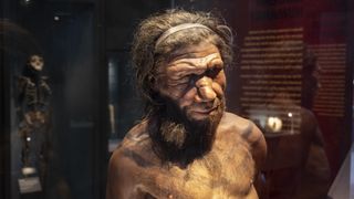 Neanderthal man at the human evolution exhibit at the Natural History Museum.
