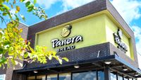 A Panera Bread store on a sunny day with a tree on the left side