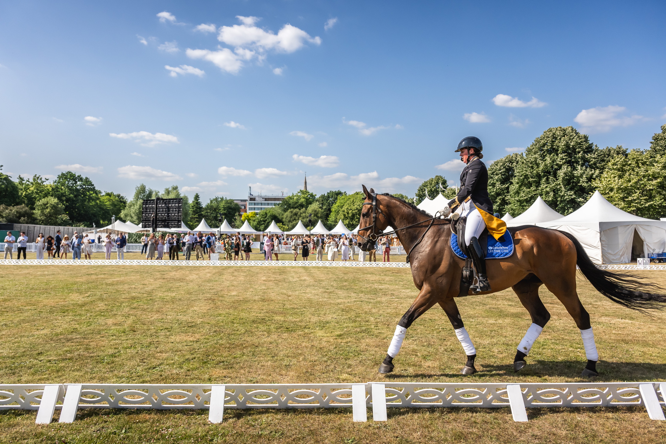 Images from the 2025 Goffs London Sale