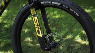 Mountain bike front wheel and forks