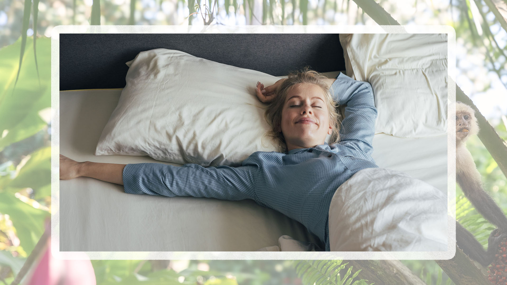 In the background, a faded picture of a monkey in the rainforest. In the foreground, a woman lies on her bed and stretches after enjoying a good night's sleep using the drunken monkey method