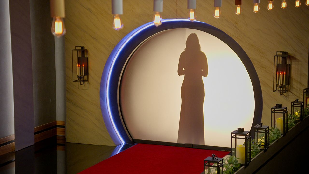 A woman&#039;s silhouette is seen from behind a screen, in &#039;Love Is Blind&#039;