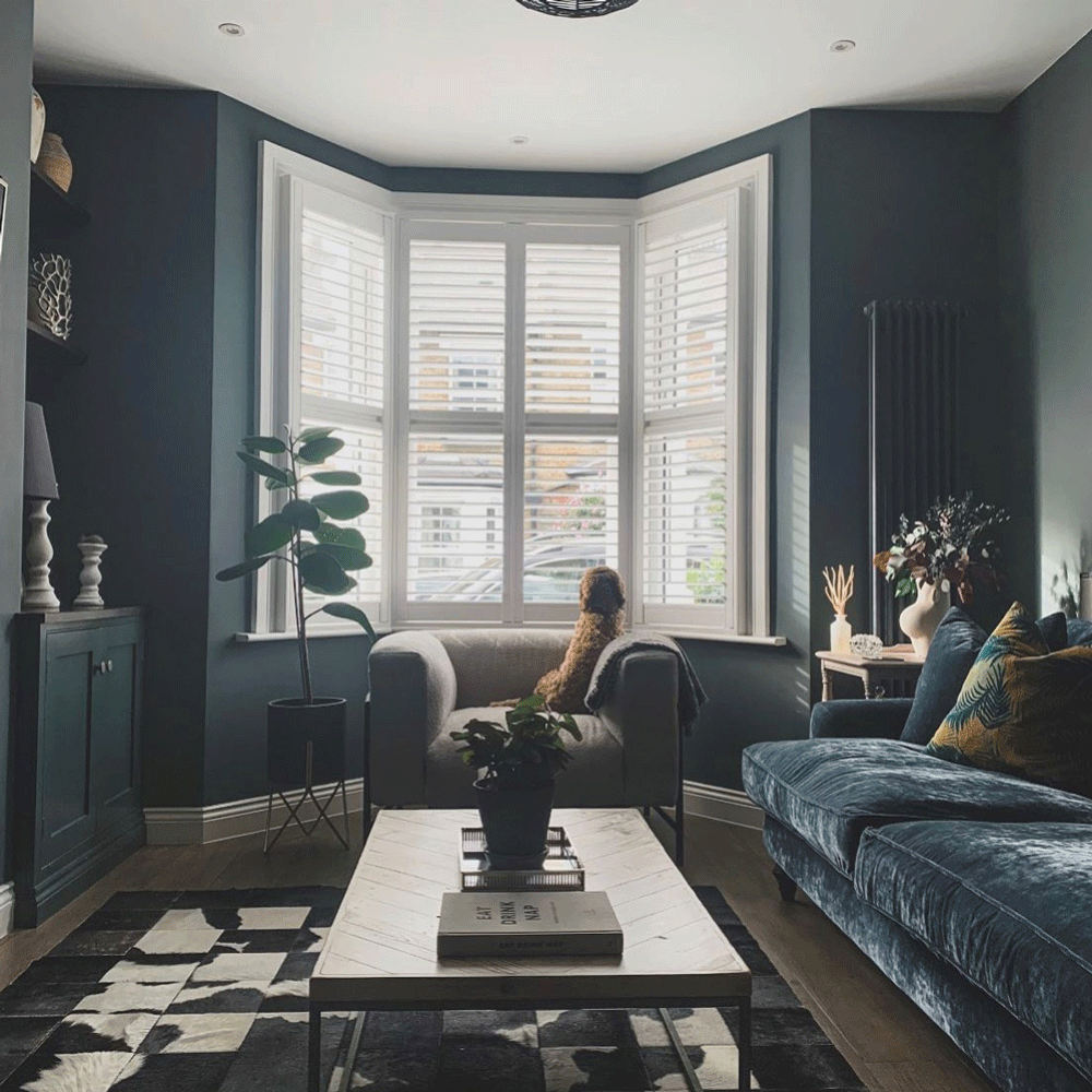 Charcoal blue living room with blue sofa and bay windows