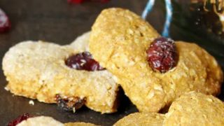 Cran-Pumpkin Peanut Butter Oatmeal Dog Treats