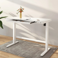 Flexispot EG8 Standing Desk: £439.99