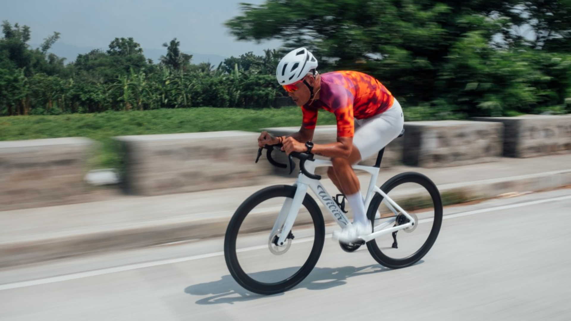 Wilier Rapida road bike