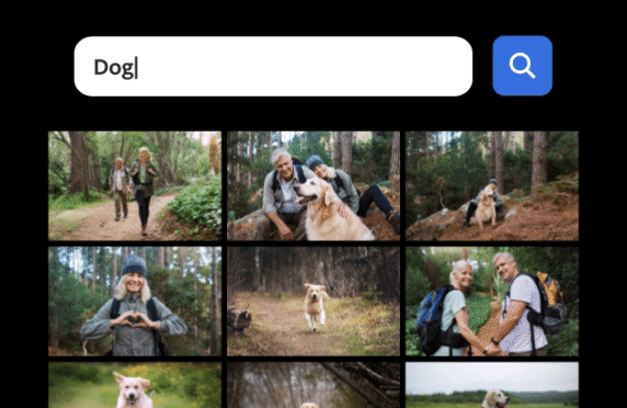 A graphic depicting one of the new features inside Adobe Photoshop Elements
