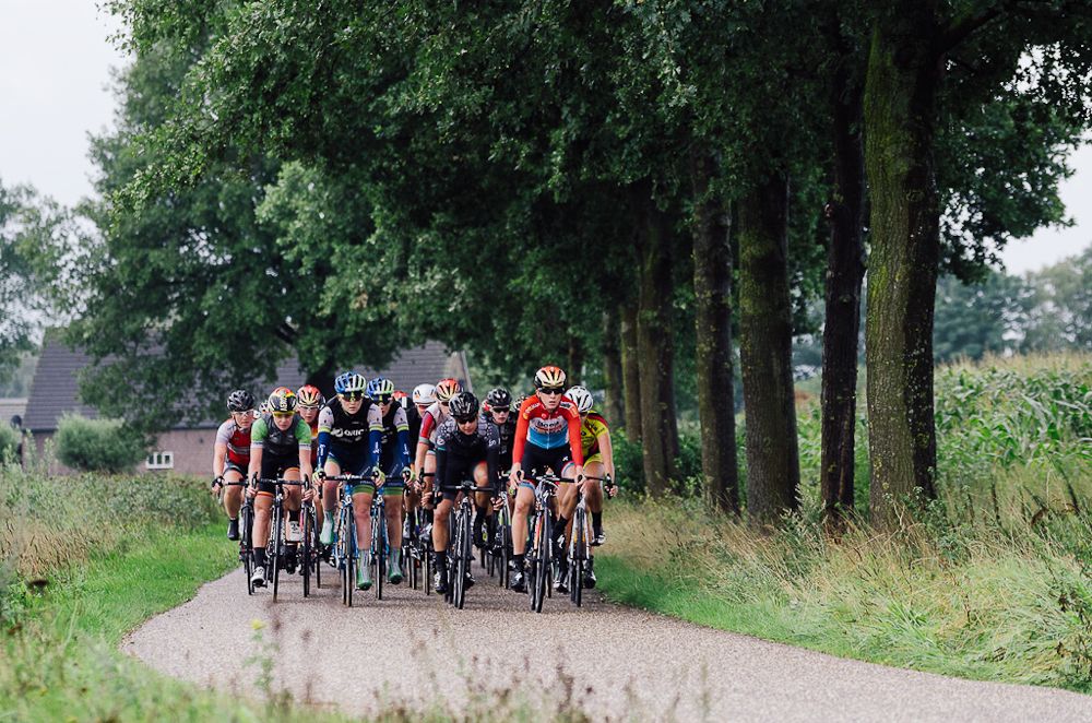 The peloton in action during stage 5.