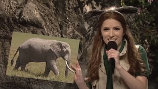 Anna Kendrick wearing elephant ears and holding up an elephant photo on SNL