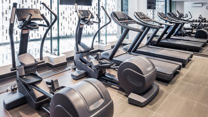 A variety of cardio machines including elliptical machines and treadmills in a gym