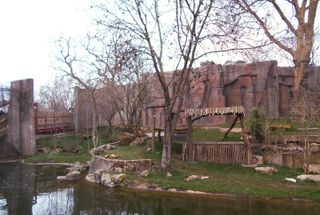 the lion terraces also known as land of the lions at london zoo showing rock formations and water