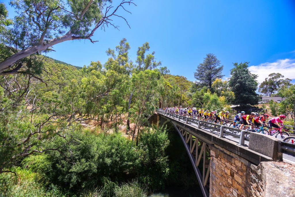 ADELAIDE AUSTRALIA JANUARY 21 The Peloton make theri way over a bridge near Cudlee Creak during stage one Prospect to Gumeracha during day four of the 2025 Tour Down Under on January 21 2025 in Adelaide Australia Photo by Sarah ReedGetty Images