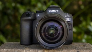 Canon EOS R6 Mark III on a wall with green background / menu screenshots