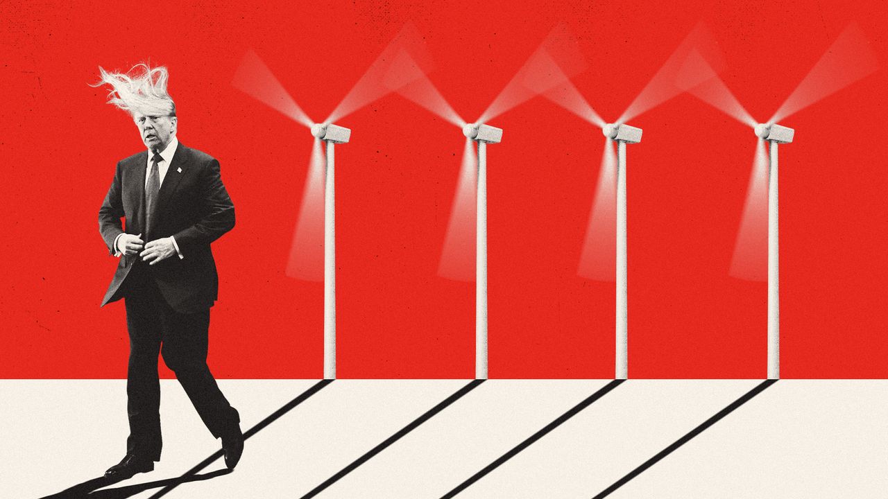 Illustration of Donald Trump&#039;s hair being blown around by wind turbines