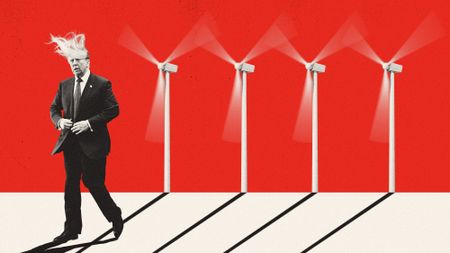 Illustration of Donald Trump's hair being blown around by wind turbines