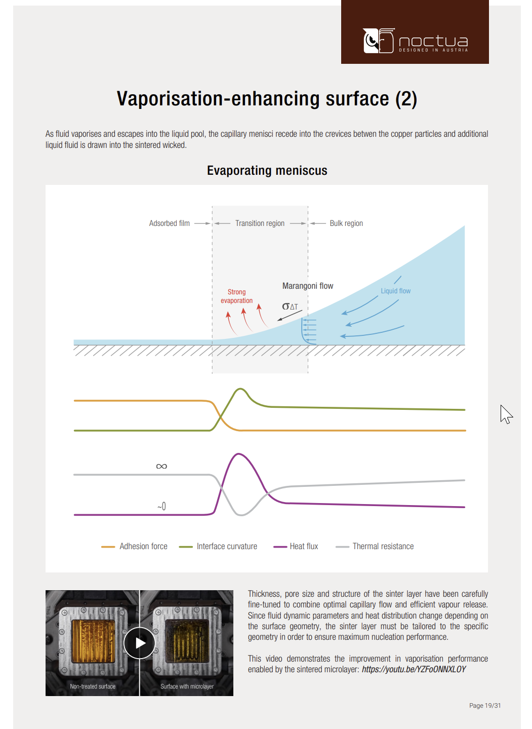 Noctua's two-phase thermosiphon cooler explained in diagrams.