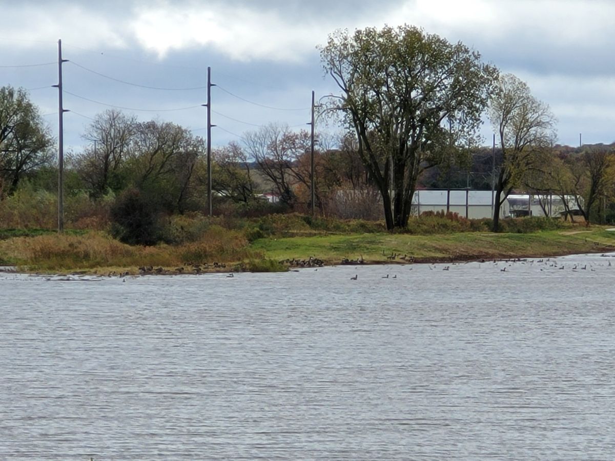 Samsung Galaxy S20 FE 10x telephoto zoom