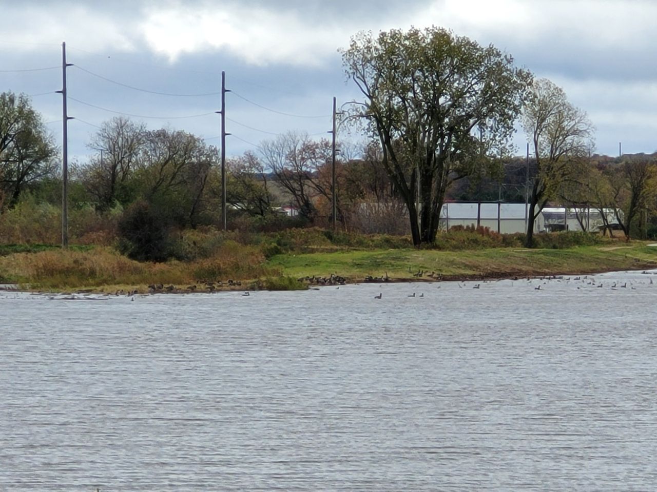 Samsung Galaxy S20 FE 10x telephoto zoom