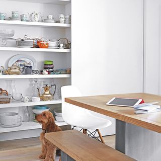 kitchen area with white wall and open shelves and dog